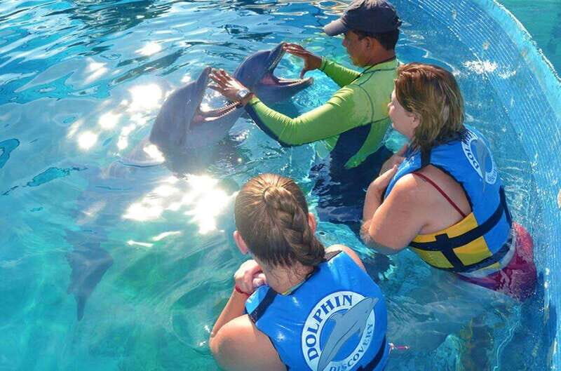 Puerto Vallarta: Dolphin Royal Swim at Aquaventuras Park - Practical Tips for Making the Most of Your Day
