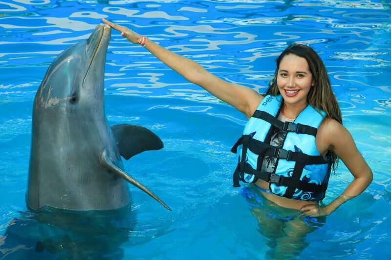 Puerto Vallarta: Dolphin Swimming and Aquaventuras Park - Key Points