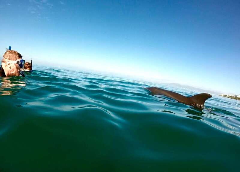 Puerto Vallarta: Dolphin Watching Cruise with a Biologist - Practical Details and Tips