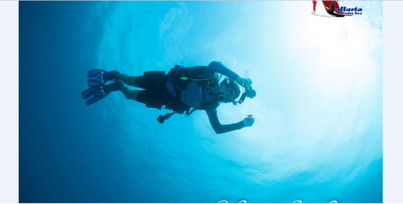 Puerto Vallarta: Exclusive Dive Adventure - Marine Encounters to Remember