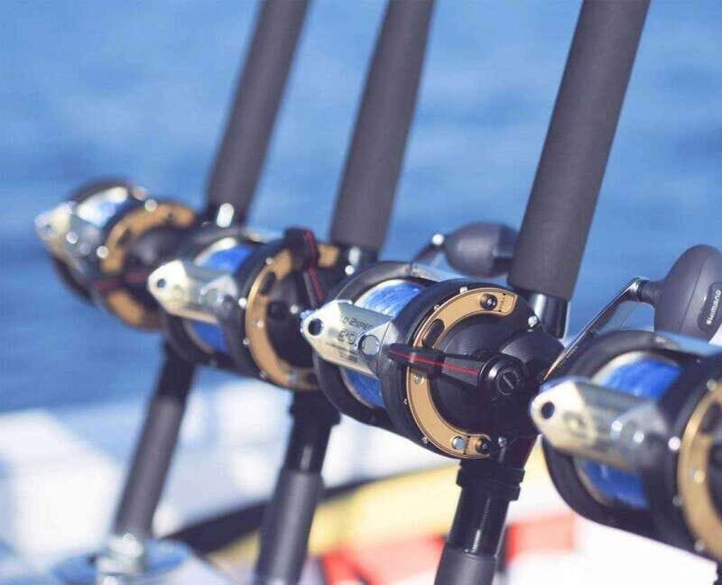 Puerto Vallarta: Fishing Pami I 27 - Pricing and Value