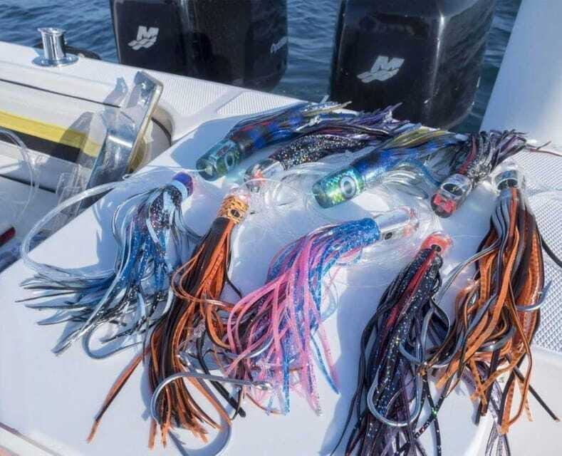 Puerto Vallarta: Fishing Pami I 27 - FAQ