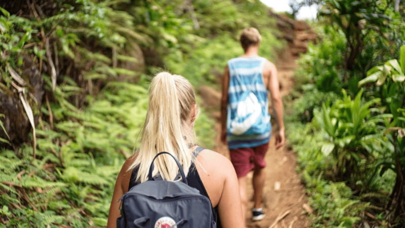 Puerto Vallarta: Hiking and entrance to the botanical garden - The Itinerary Breakdown: What to Expect