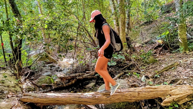 Puerto Vallarta: Hiking and entrance to the botanical garden - Practical Tips for a Smooth Day