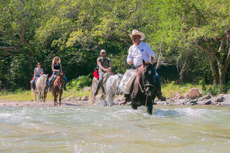 Puerto Vallarta: Horseback Ride to Mountain Waterfalls - Key Points