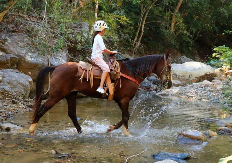 Puerto Vallarta: Horseback Riding Adventure at Canopy River - Value for Money and Overall Impression