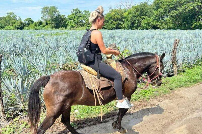 Puerto Vallarta: Horseback Riding at Hacienda Doña Engracia - An In-Depth Look at the Hacienda Doña Engracia Horseback Tour