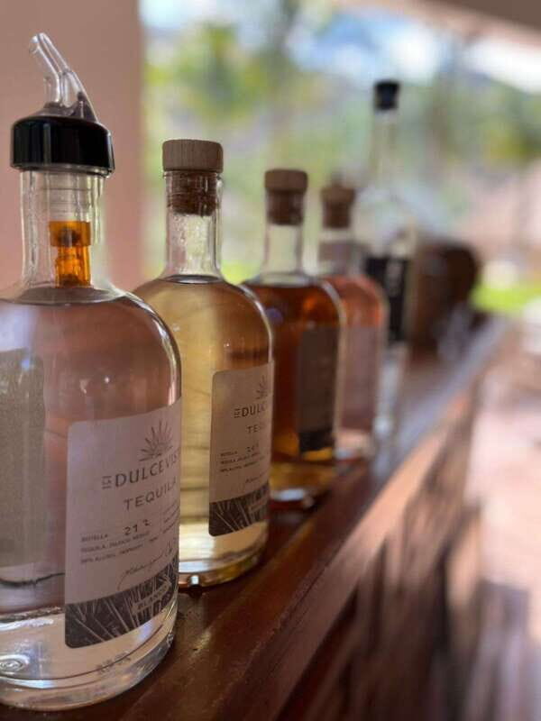 Puerto Vallarta: Horseback Riding at Hacienda Doña Engracia - Final Thoughts: Is It Worth It?