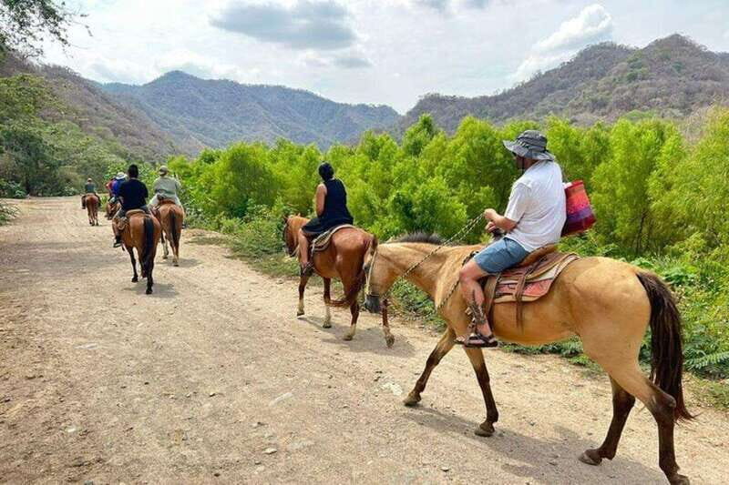 Puerto Vallarta: Horseback Riding, Lunch & Unlimited Drinks - Key Points