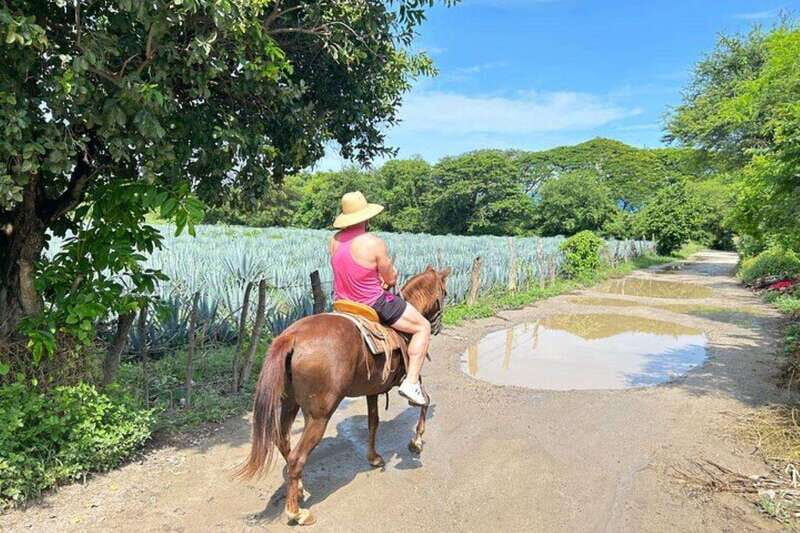 Puerto Vallarta: Horseback Riding, Lunch & Unlimited Drinks - Final Thoughts: Who Will Love This Experience?