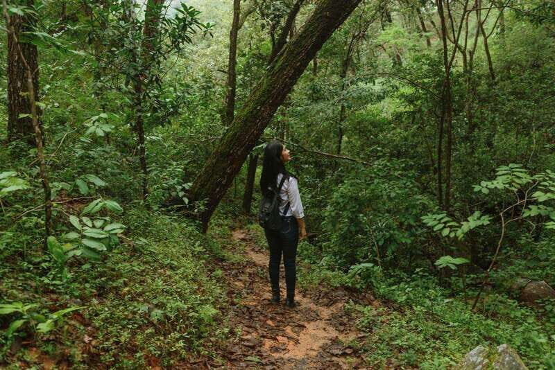 Puerto Vallarta: Jorullo Paradise Hiking Adventure - Frequently Asked Questions