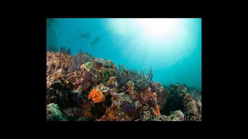 Puerto Vallarta: La Corbeñeta Underwater Exploration - Puerto Vallarta: La Corbeñeta Underwater Exploration