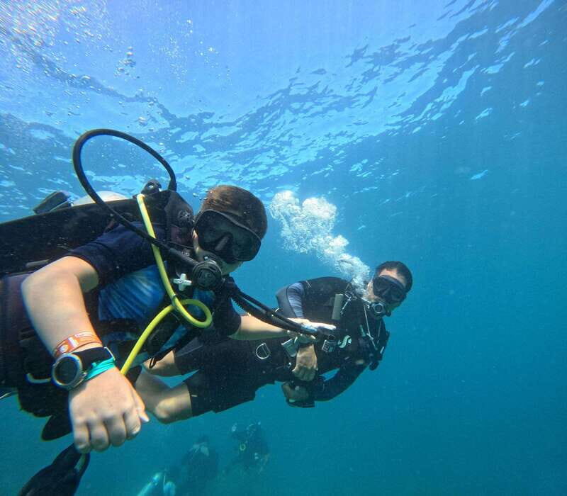 Puerto Vallarta: La Corbeteña Dive Expedition - Introduction: Discovering La Corbeteña’s Underwater Wonder