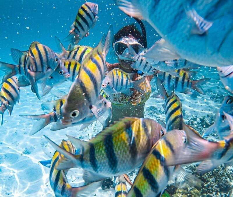 puerto-vallarta-los-arcos-islands-boat-tour-and-snorkeling