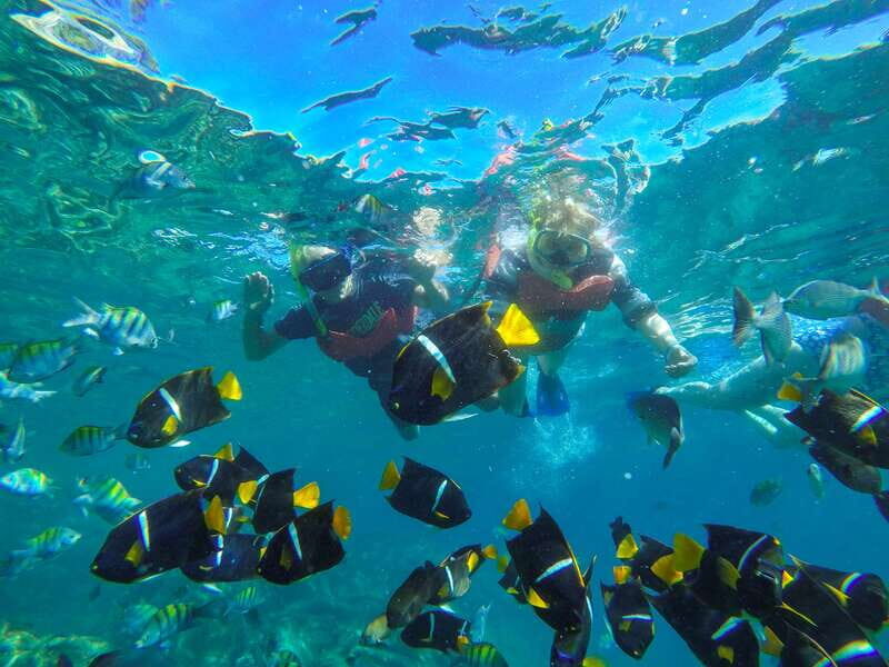 Puerto Vallarta: Luxury Day Sailing Tour of Bay of Banderas - Puerto Vallarta: Luxury Day Sailing Tour of Bay of Banderas