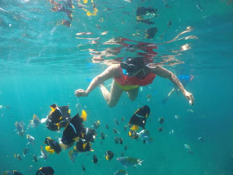 Puerto Vallarta: Luxury Yacht Tour with Lunch and Open Bar - Key Points