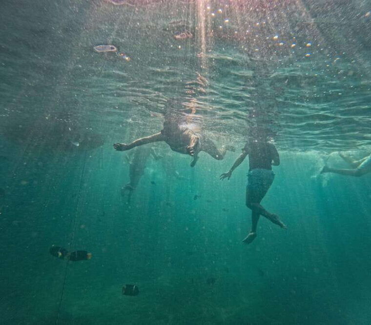 puerto-vallarta-majahuitas-beach-snorkel-adventure-park