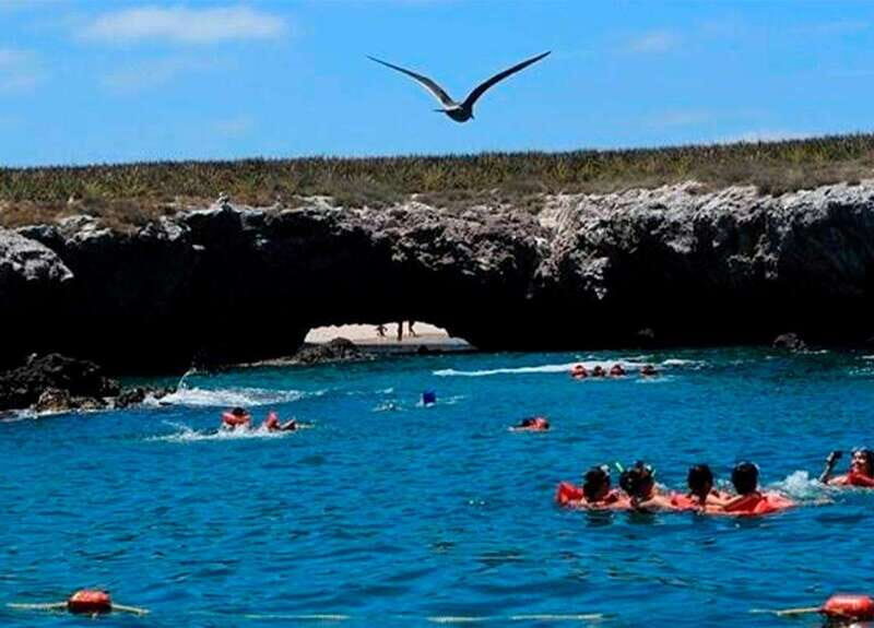 Puerto Vallarta: Marietas Islands Tour on Catamaran - Overview of the Tour Experience