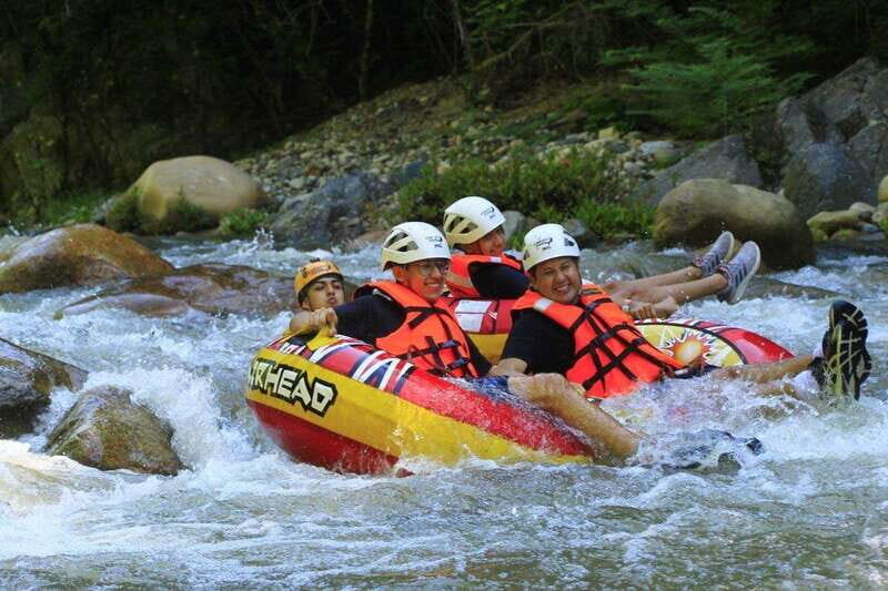 Puerto Vallarta: Mountain Expedition, Mule Ride Tequila Tour - Key Points