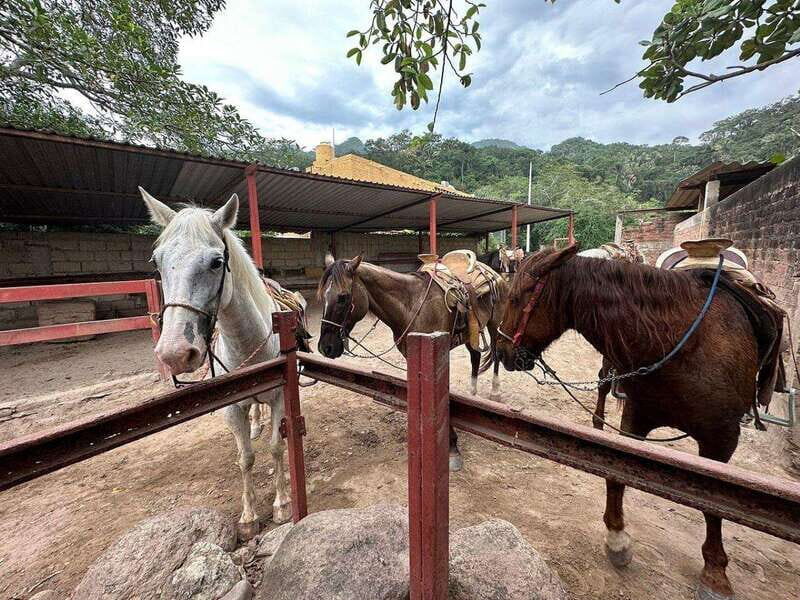 Puerto Vallarta: Mountain Waterfall Horseback Riding Tour - The Scenic Trail and the Mountain Views