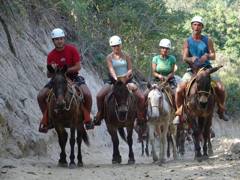 Puerto Vallarta: Outdoor Ziplines and Rappel Adventure - Logistics and Practical Tips
