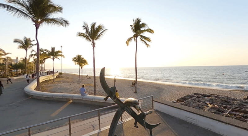 Puerto Vallarta: Parasailing Experience - What Makes This Tour Stand Out