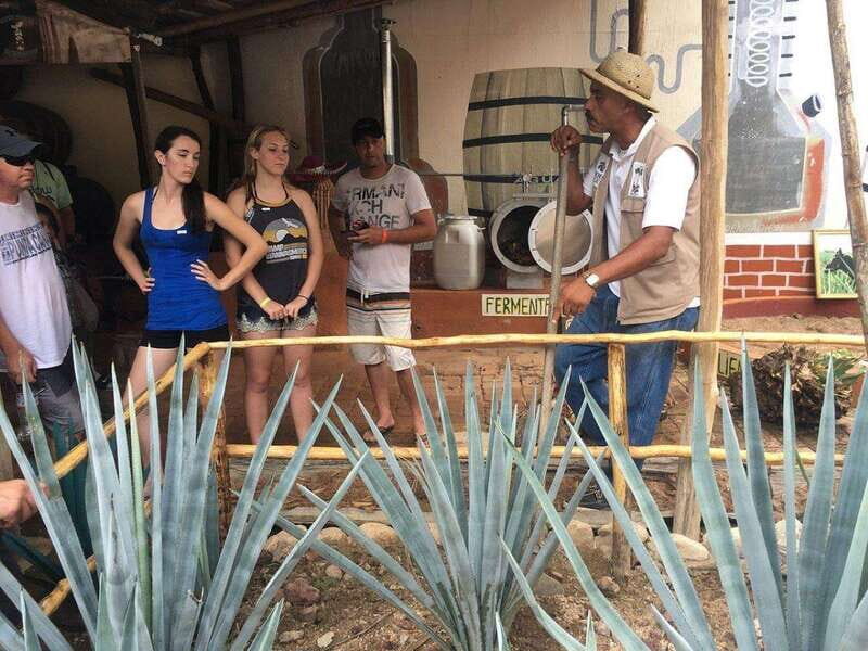 Puerto Vallarta: Predator ATV & Tequila Tour - The Value Proposition