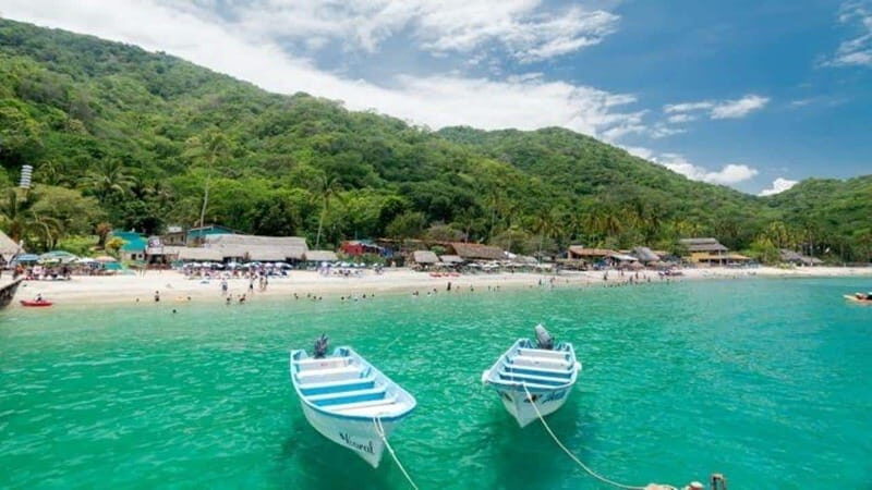 Puerto Vallarta: Predator Catamaran Adventure - Authentic Insights from Reviewers