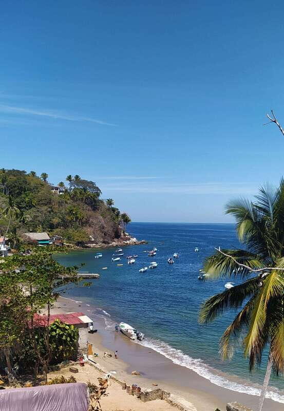 Puerto Vallarta: Private Boat Trip to Yelapa with Snorkeling - How the Experience Comes to Life