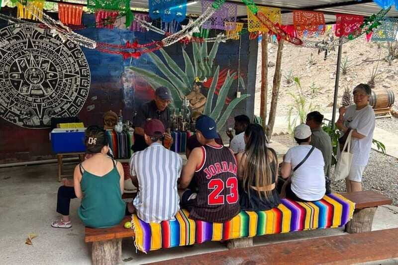 Puerto Vallarta: Private City Tour and Tequila Tasting - Final Thoughts