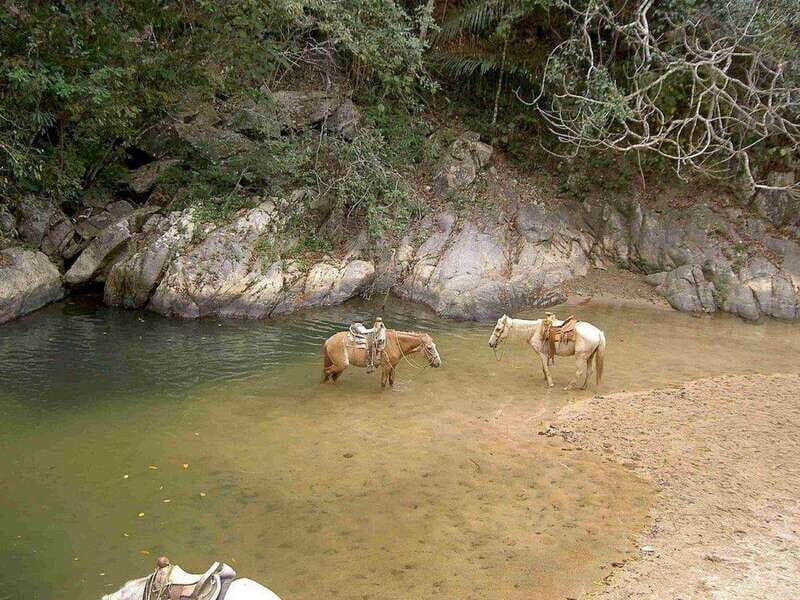 Puerto Vallarta: Private Tour Hiking Quimixto Waterfall - Reaching the Waterfall: A Visual Feast