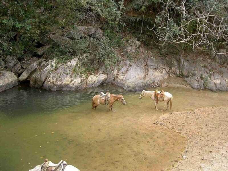 Puerto Vallarta: Private Tour Hiking Quimixto Waterfall - Practical Details: What You Need to Know