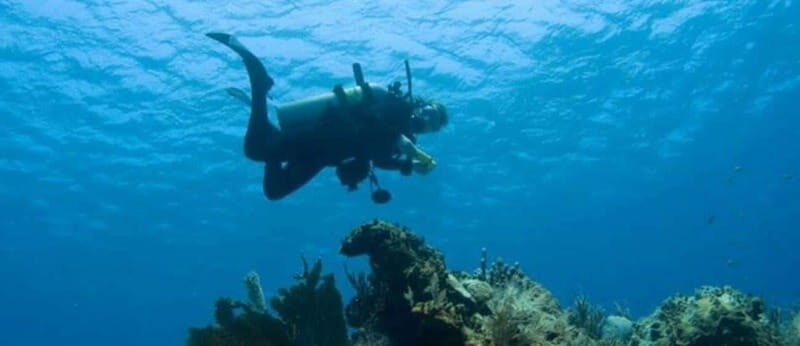 Puerto Vallarta: Scuba Dive at Los Arcos - Introduction to the Los Arcos Scuba Tour