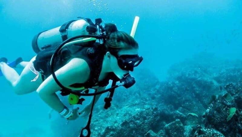 Puerto Vallarta: Scuba Dive at Los Arcos - Value for Money: Is It Worth the Cost?