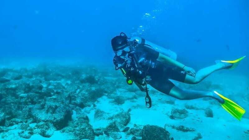 Puerto Vallarta: Scuba Dive at Los Arcos - Who Is This Tour Best For?