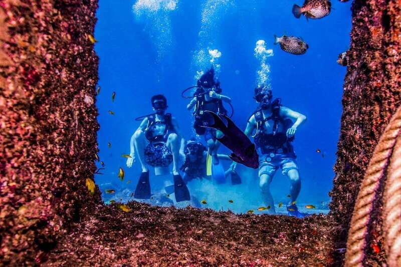 Puerto Vallarta: Scuba Dive in Las Caletas - FAQ