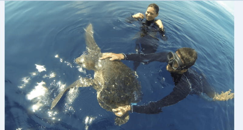 Puerto Vallarta: Scuba Diving en el Morro - Puerto Vallarta: Scuba Diving en el Morro — The Complete Experience