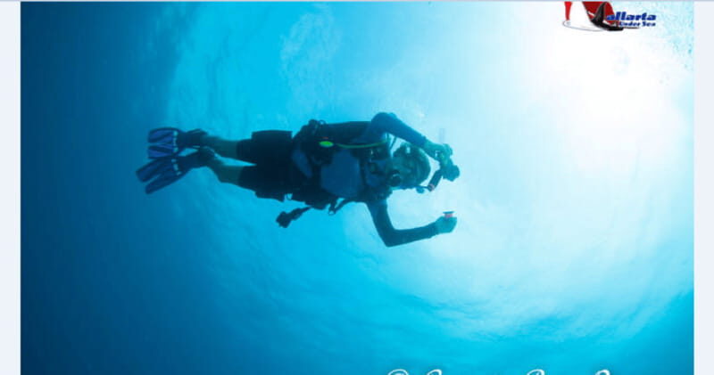 Puerto Vallarta: Scuba Diving en el Morro - Key Points