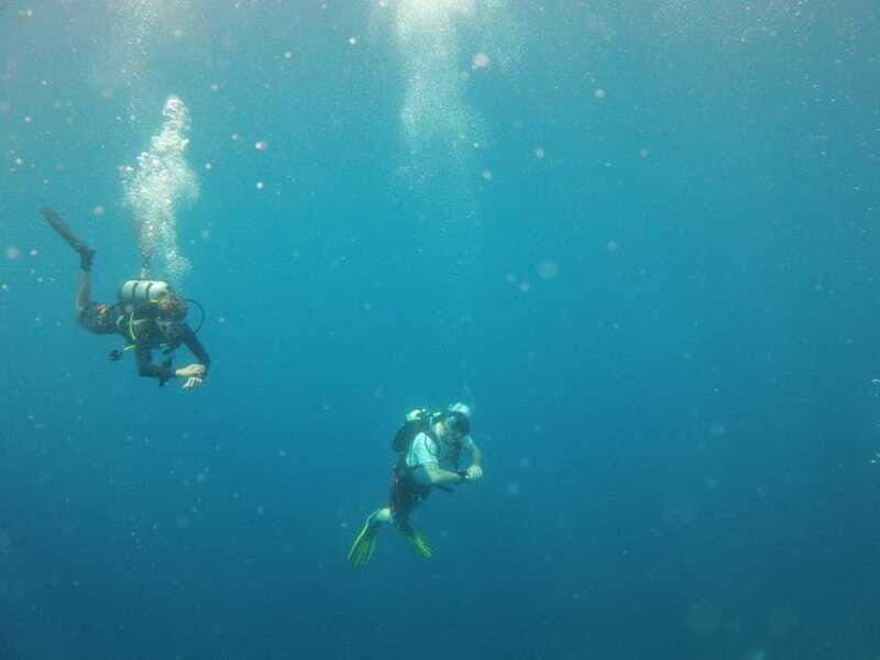 Puerto Vallarta: Scuba Diving Expedition at El Malinal - Key Points