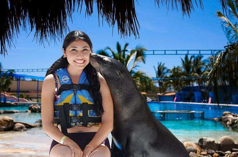 Puerto Vallarta: Sea Lion Discovery at Aquaventuras Park - Key Points