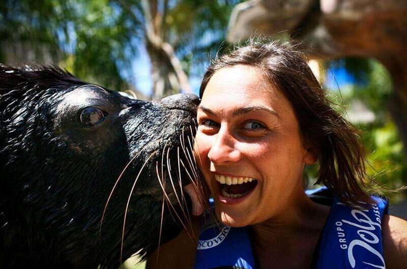 Puerto Vallarta: Sea Lion Discovery at Aquaventuras Park - What is the Sea Lion Discovery at Aquaventuras Park?