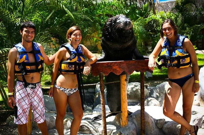 Puerto Vallarta: Sea Lion Discovery at Aquaventuras Park - Additional Information and Tips