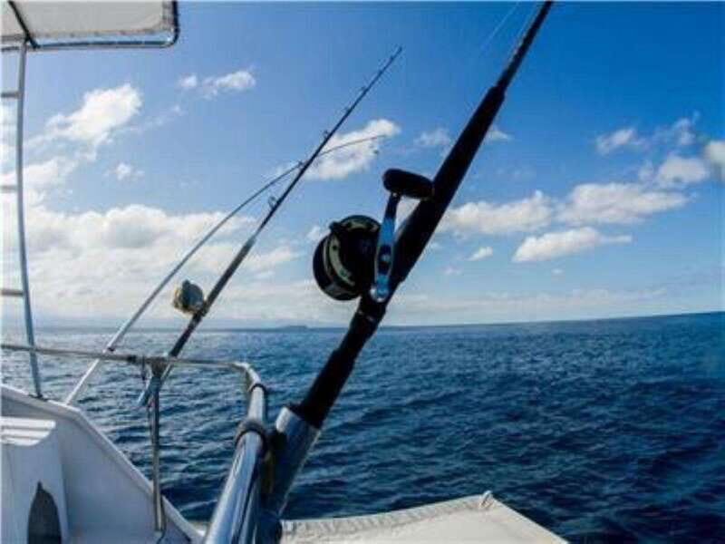 Puerto Vallarta: Shared Fishing - Introduction