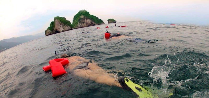 Puerto Vallarta: Snorkel Adventure at Los Arcos - The Sum Up