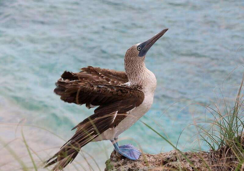 Puerto Vallarta: Snorkeling, Beach, Sailing to Marietas Park - Authentic Experience in a Small Group