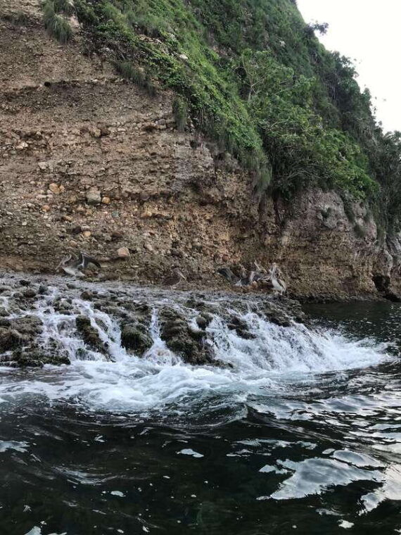 puerto-vallarta-snorkeling-tour-to-los-arcos-de-mismaloya