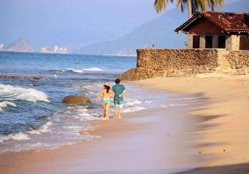 Puerto Vallarta: The Predator of the Sea - Frequently Asked Questions