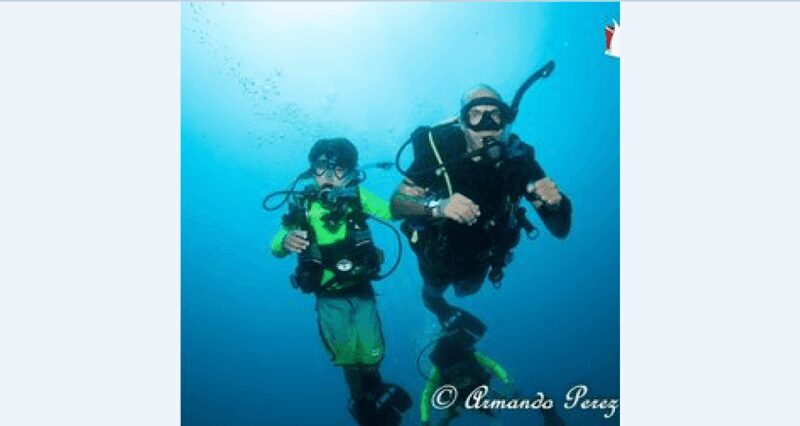 Puerto Vallarta: Underwater Wonderland at Los Arcos - FAQ