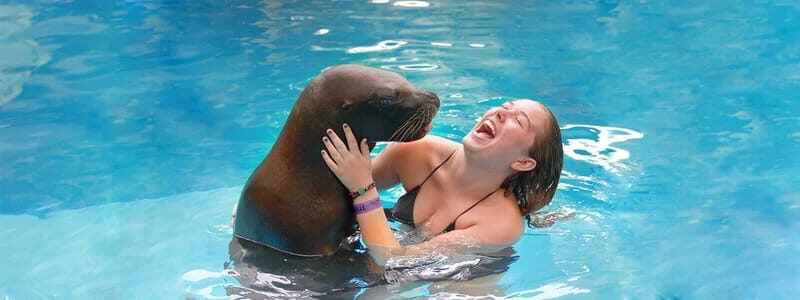Puerto Vallarta: Unforgettable Sea Lion Encounter - What to Expect from the Sea Lion Encounter