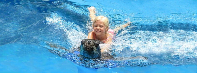 Puerto Vallarta: Unforgettable Sea Lion Encounter - How the Tour Is Structured and Its Practical Aspects